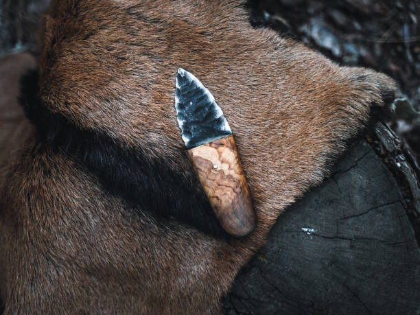 Handcrafted Knife on Wooden Stump