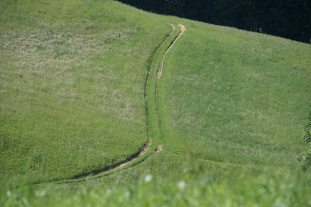 UK, Landscape - Scenery, Sunrise - Dawn, Accidents and Disasters, Agricultural Field
