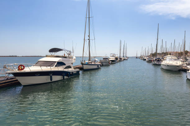 Boats docked in a marina with a historic town and palm trees in the background.