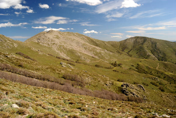 istock Panoramic views from the path to Punta la Marmora, in the Gennargentu mountains, n background Punta Su Sciusciu and Punta La Marmora 2174117485
