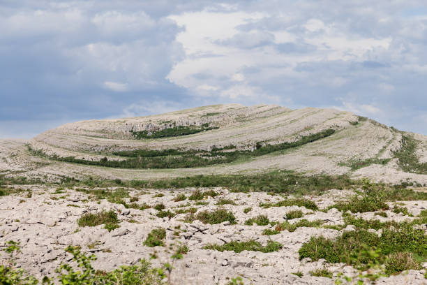 The Burren in County Clare, Ireland, characterized by unique geological formations and sparse vegetation. The exposed rock layers form a striking pattern