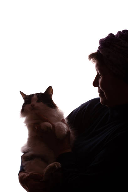 Dark silhouette of an elderly woman, a pensioner with a cat in her hands - isolate, white background