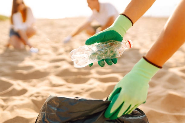 istock Groups of volunteers actively participate in a beach cleanup. 2174121254