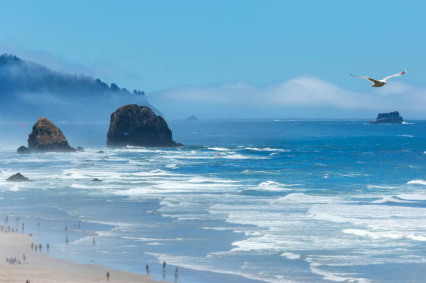 istock Famous Cannon beach on Oregon Pacific coast 2174122451