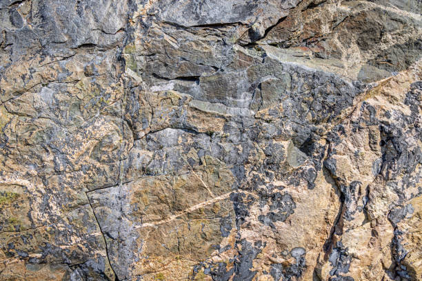 Weathered rock wall at Hvalsey Fjord outside Qaqortoq - Julianehåb in south west Greenland on a sunny summer day