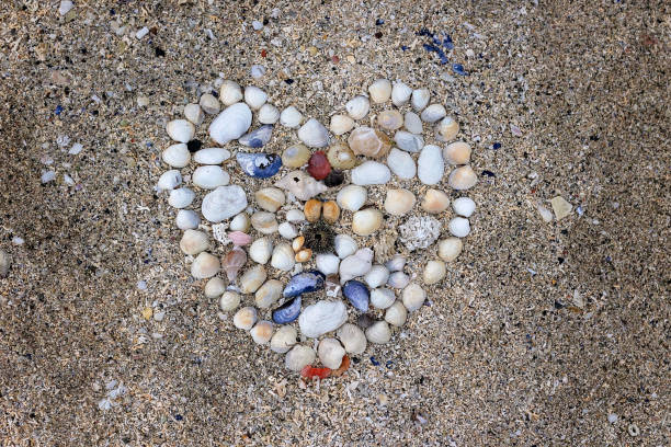 Beautiful blond child, boy, gathering shells on a beach in Norway, making heart from them