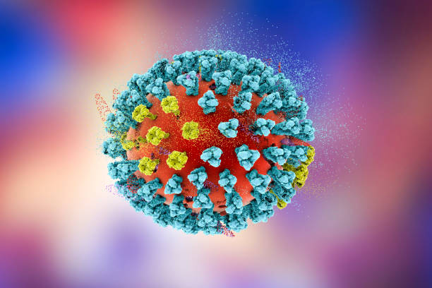 istock Destruction of bird flu virus, illustration 2174125363