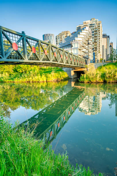 The beautiful landscape along Calgary riverwalk at sunset
