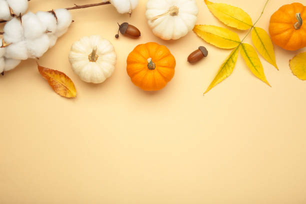istock Autumn composition. Fresh orange and white pumpkin with autumn leaves on beige background. 2174129950
