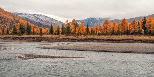 istock Quiet, calm autumn river. Dark atmospheric panoramic view 2174132199