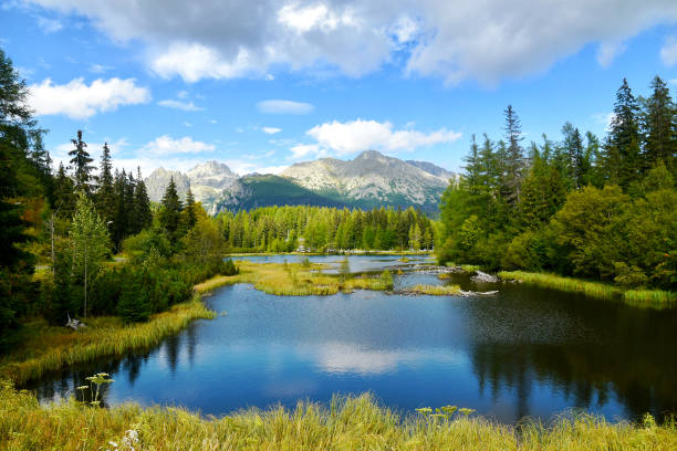 Beautiful view of New Strbske Pleso, High Tatras National Park, Slovakia, Europe Beautiful view of New Strbske Pleso, High Tatras National Park, Slovakia, Europe. high tatras stock pictures, royalty-free photos & images