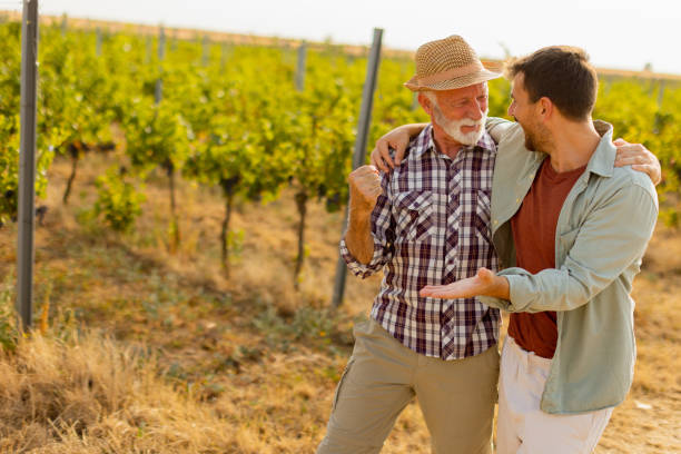 istock Two men stroll through a sunlit vineyard, sharing laughter and stories on a warm afternoon, surrounded by lush green vines 2174137601