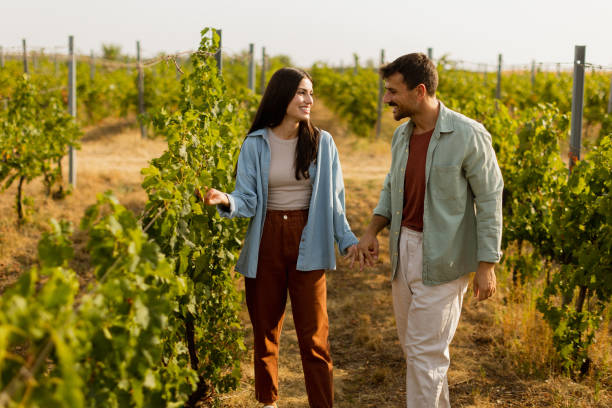 istock Couple enjoying a romantic stroll through lush vineyard rows on a sunny day, immersed in natureâs beauty and each otherâs company 2174137603