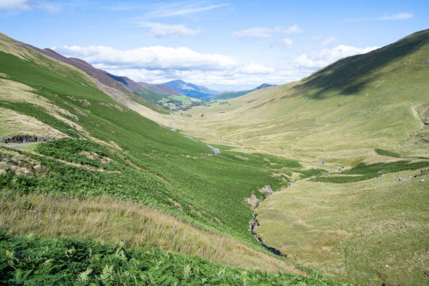 Rolling green hills stretch into the distance, with a meandering road leading through the peaceful valley. Bright skies and soft shadows create a tranquil, picturesque scene, framed by the untouched beauty of the surrounding landscape.