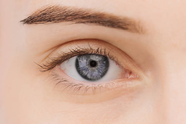 istock A close-up of a vibrant blue eye against a light background, evoking depth and expressiveness. This shot provides the perfect space for advertising, highlighting uniqueness and allure. 2174146361
