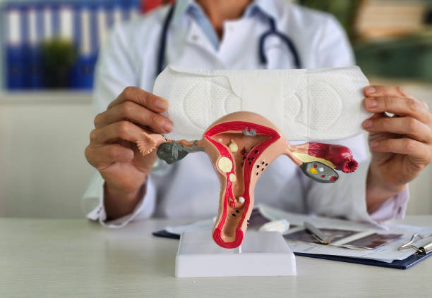 istock Sanitary pads and uterine anatomy 2174147379