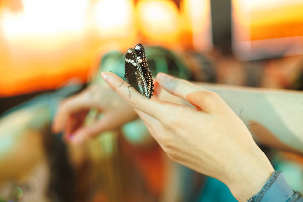 A butterfly perched on a person's hand during a colorful event showcasing nature's beauty and vibrant surroundings