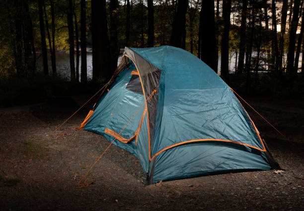 istock Lighted lake through the trees behind a lightweight tent 2174152869
