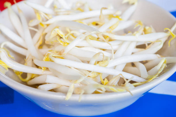 Close up of mungbean sprouts on blue table.
