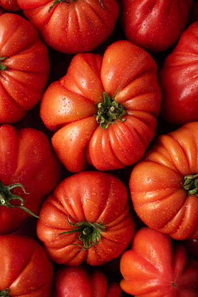 Background with vibrant red heirloom tomatoes, seen from above