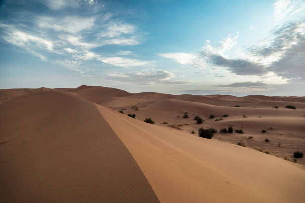 istock Vast Sand Dunes Stretch Across the Sahara Desert in Morocco Under a Clear Blue Sky 2174157676