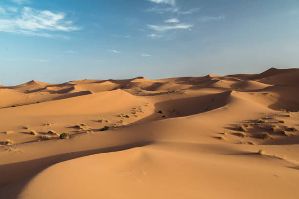 istock Vast Sand Dunes Under a Clear Sky in the Sahara Desert, Morocco at Midday 2174157698
