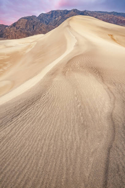 istock Dawn, Mesquite Flat Sand Dunes, Death Valley 2174157878