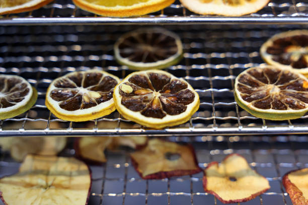 The Food Dehydrator Machine - a device for drying vegetables and fruits without losing vitamins and trace elements