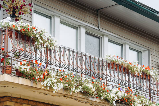 istock balcony of house decorated with many flowers 2174167849