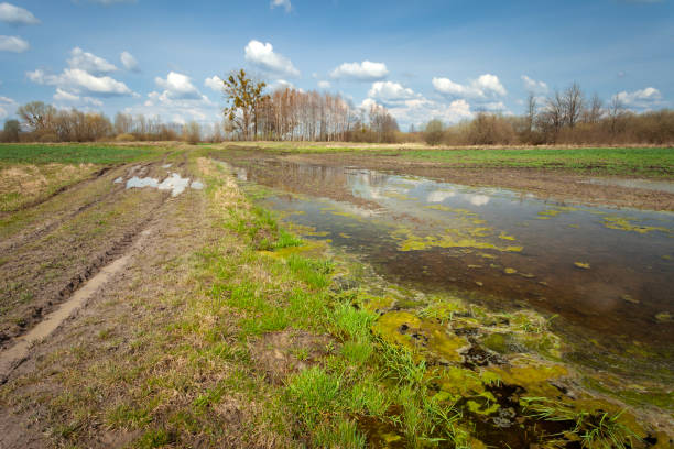 istock A field and a dirt road flooded with water 2174170626