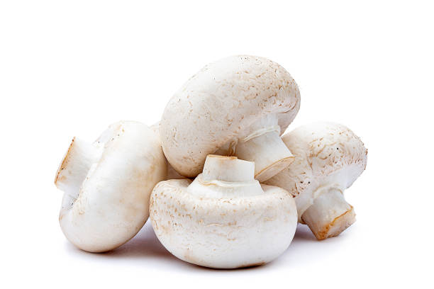 istock Isolated champignon mushrooms on white background 2174177772