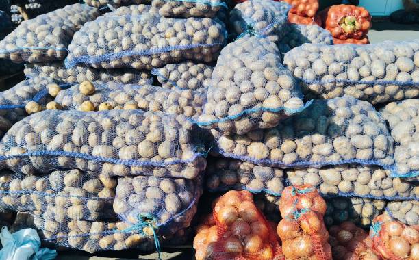 istock wholesale onion market 2174178245