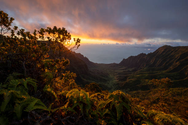 istock Kauai mountain ridges in cloudy sunset 2174182523