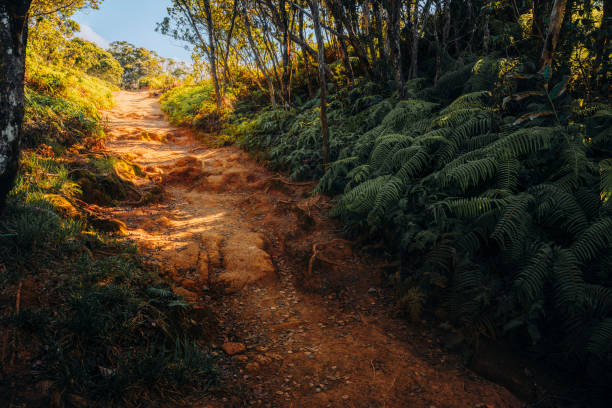 Landscape photos of impressive sunset landscapes in Hawaii