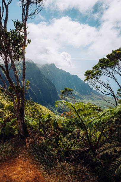 istock Kauai mountain ridges in cloudy sunset 2174182552