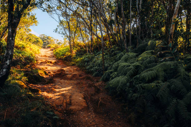 Landscape photos of impressive sunset landscapes in Hawaii