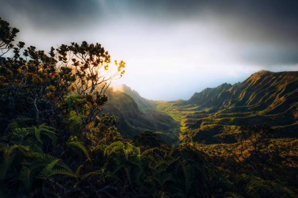 Landscape photos of impressive sunset landscapes in Hawaii