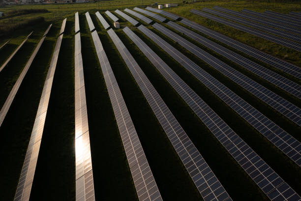 istock Solar panels arranged neatly in rows capture sunlight on a clear day in a renewable energy field 2174185849