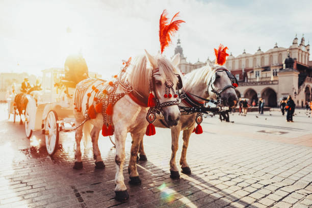 Main Market square of Krakow