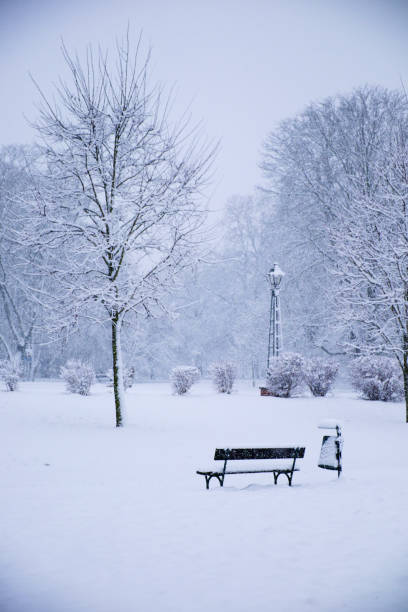 istock An empty snow-covered park bench near a tree on a winter day. Snow-covered city park, snowfall. Winter landscape. 2174193535