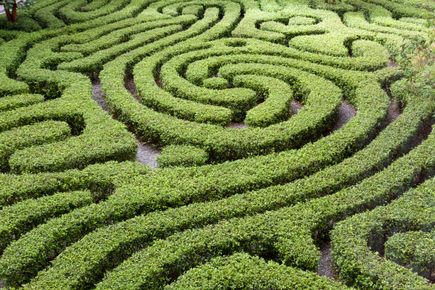 This low garden hedge has been lovingly sculpted into an complicated pattern resembling a maze. It was spotted in a garden in Kuala Lumpur, Malaysia
