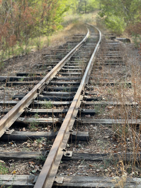 istock Abandoned Children's Railway Blending with Nature and Memories 2174194323