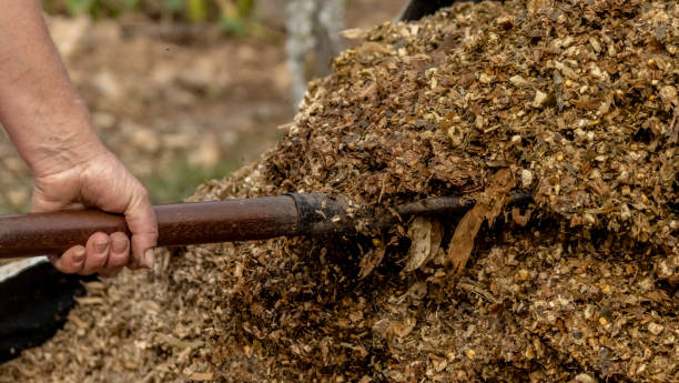 istock farmer collecting corn fodder for animals with a gallows 2174200192