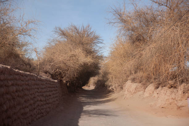 San Pedro de Atacama in northern Chile