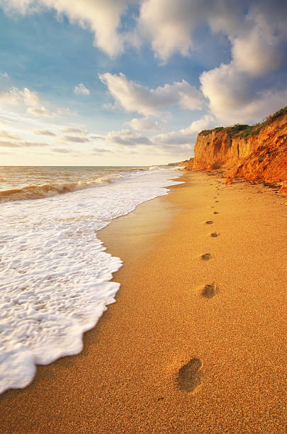 istock Traces on the sea shore. 2174205796