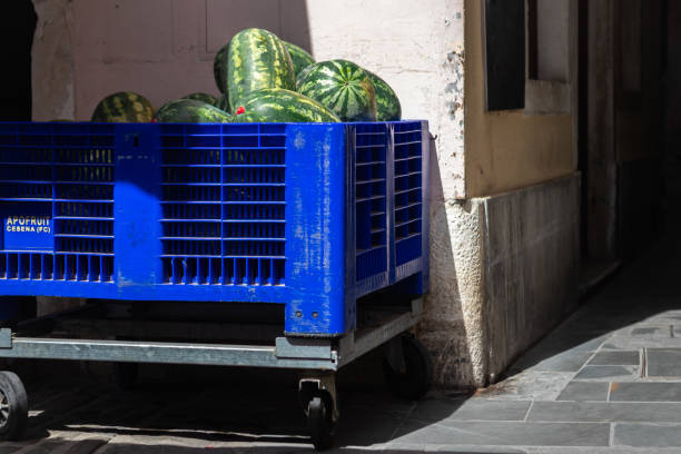Blue plastic crate filled with watermelons in a shaded alleyway
