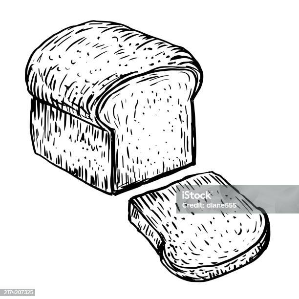 Bread Line Vector Homemade Bread Line Art On A Transparent Background Stock Illustration ...