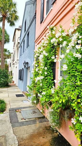 istock Colorful Homes in Charleston 2174207700