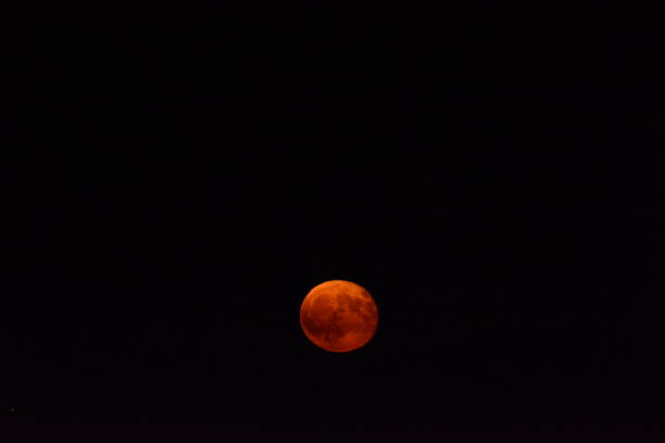 A mesmerizing red moon glows brightly in the dark night sky, casting an eerie yet beautiful light over the landscape. The celestial body appears otherworldly, with its crimson hue creating a stunning contrast against the black sky and distant stars.