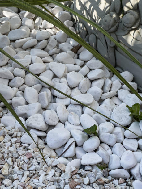 istock Grey natural smooth pebbles as texture or background, pebbles in a garden bed 2174224955